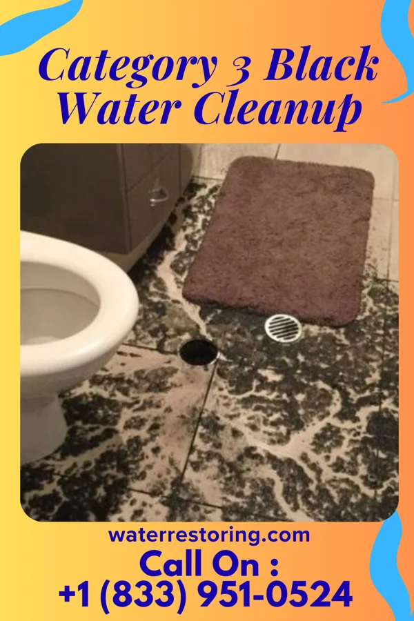 Category 3 Black Water Cleanup in Los Fresnos, TX