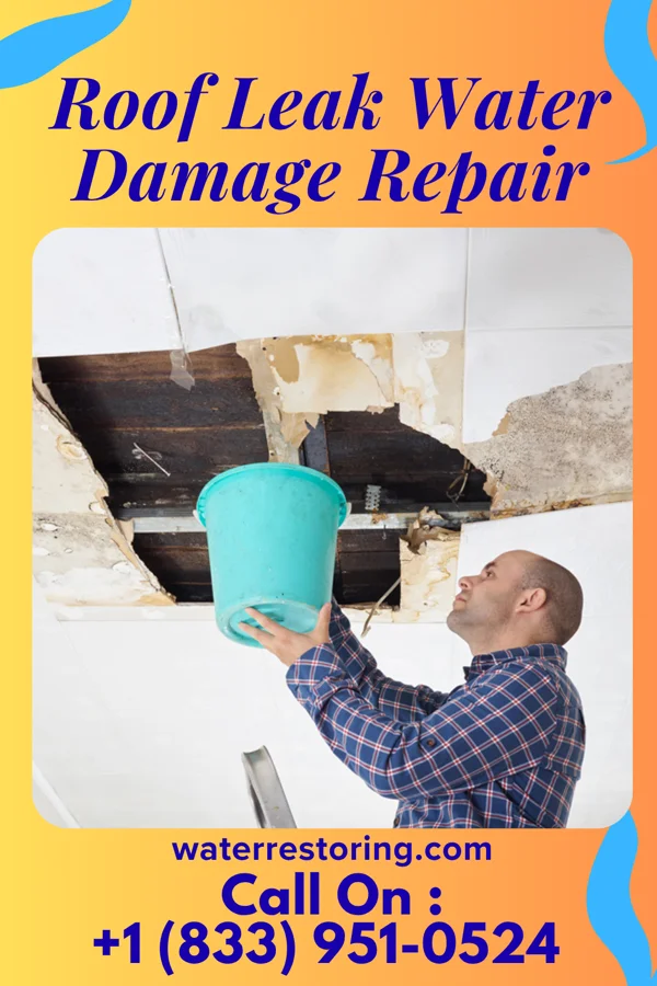 Roof Leak Water Damage Repair in Los Fresnos, TX